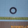 oil seal