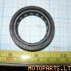 oil seal