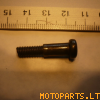 Lever mounting screw